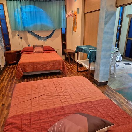 Апартаменты Cozy Hosting Galapagos Пуэрто-Айора Экстерьер фото