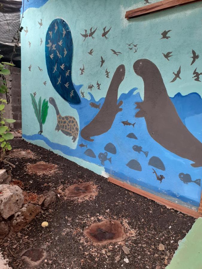 Апартаменты Cozy Hosting Galapagos Пуэрто-Айора Экстерьер фото